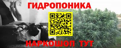 молекула духа Гусев