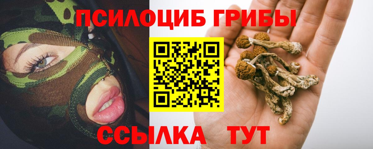 Галлюциногенные грибы Psilocybine cubensis  Псилоцибиновые грибы прущие грибы  Вход с VPN  Майкоп 