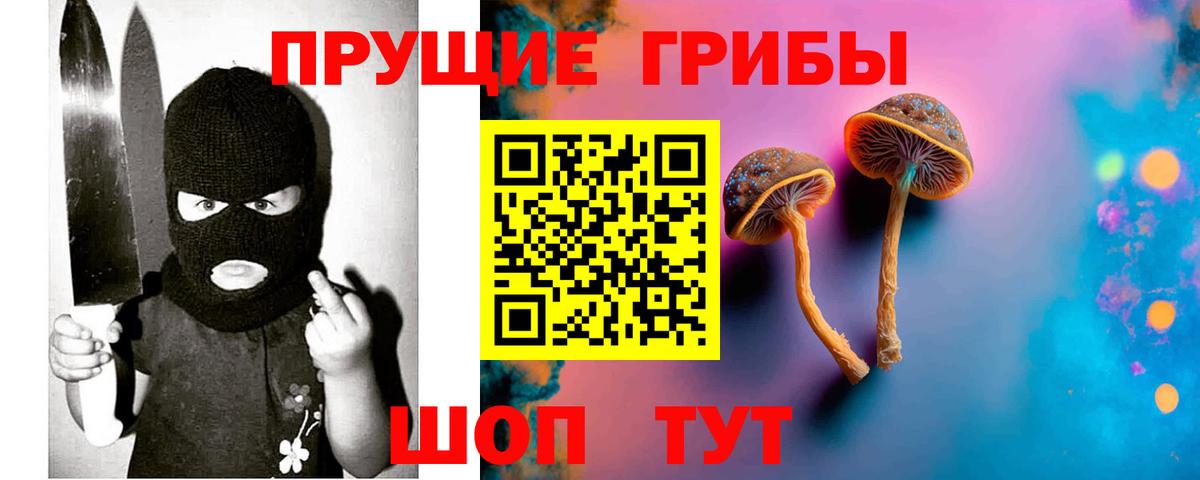 Псилоцибиновые грибы MAGIC MUSHROOMS Майкоп